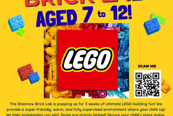 Shannow Brick Lab poster