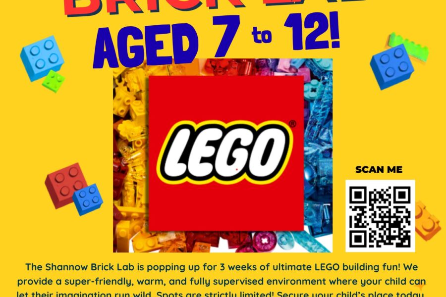 Shannow Brick Lab poster