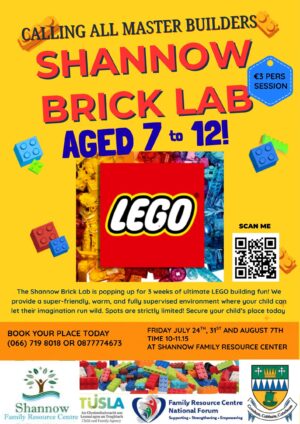 Shannow Brick Lab poster